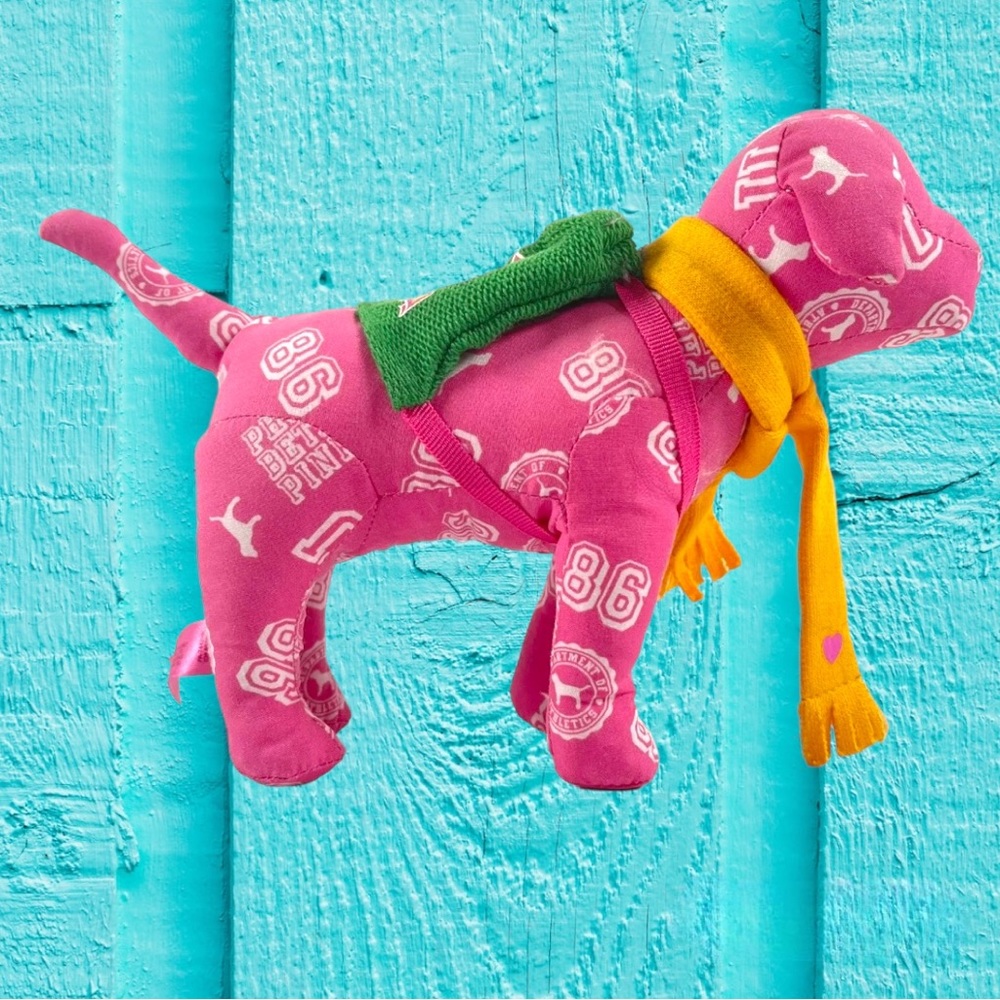 VS PINK Phi Beta Pink 2007 Mini Dog